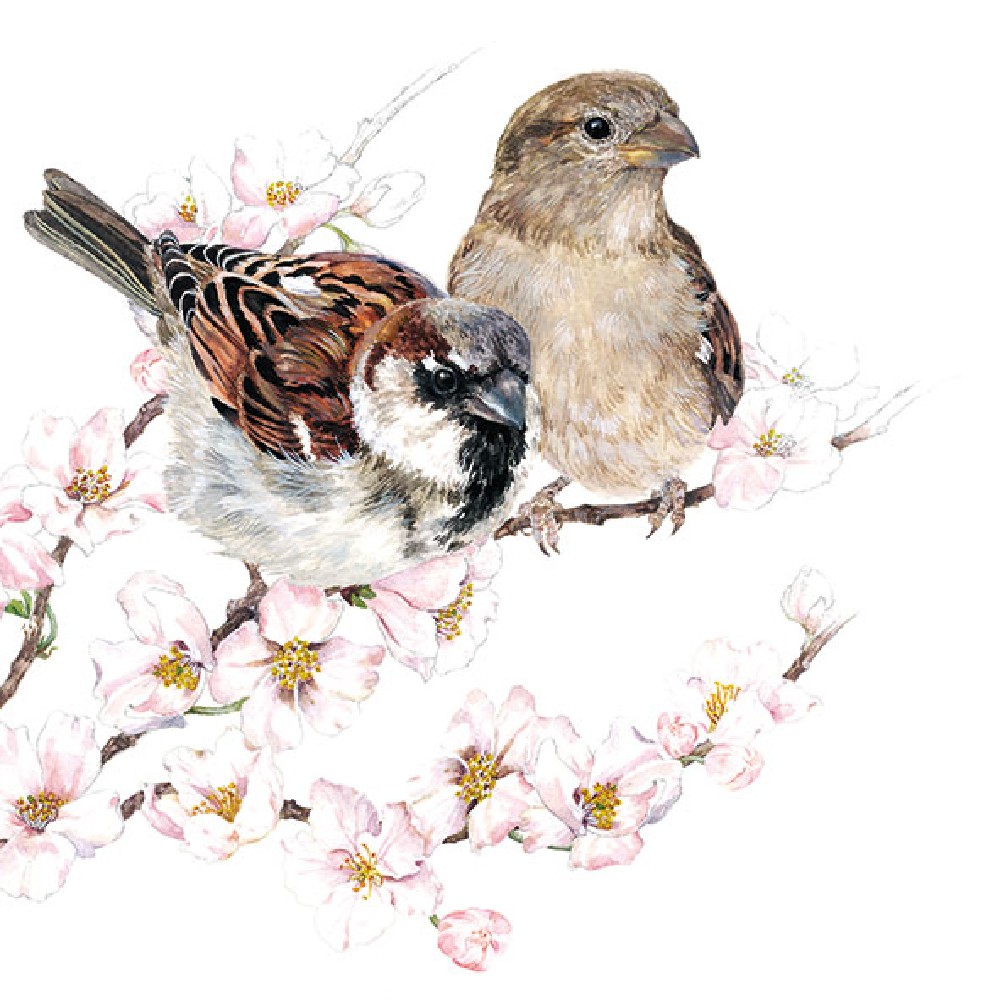 Guardanapo Sparrows Blossom 33x33